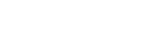 api icon